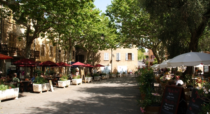  Place des Ormeaux - Tourtour