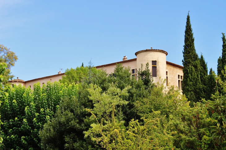 Château  - Vins-sur-Caramy