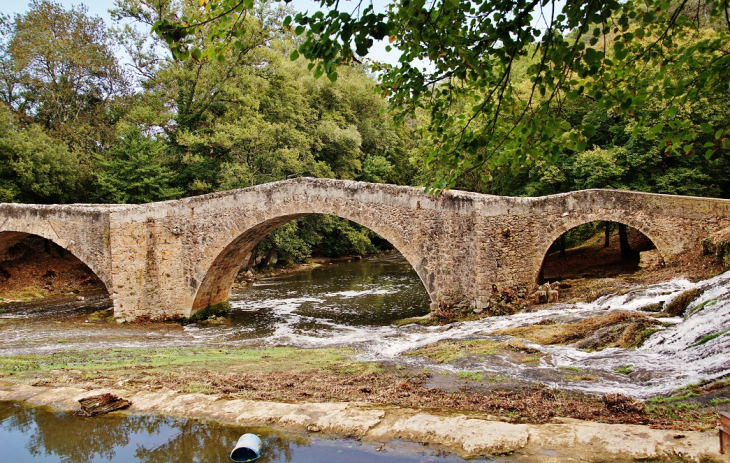 Pont-Romain - Vins-sur-Caramy