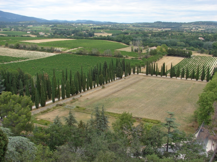 Environnement du Château - Ansouis