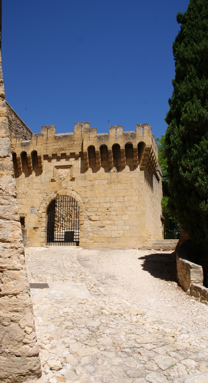    Château D'Ansouis 12 Em Siècle