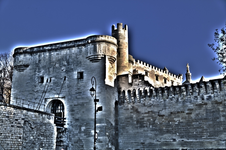 Photo HDR du Pont Saint Bénézet - Avignon