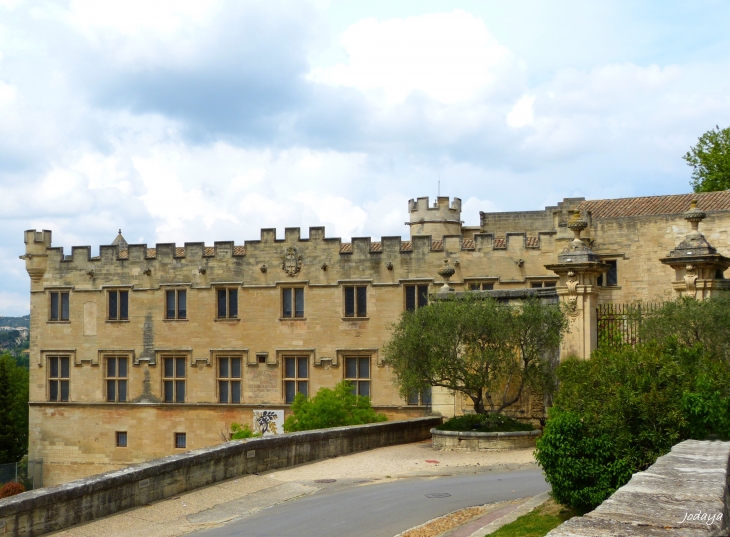  Avignon. Musée du petit palais