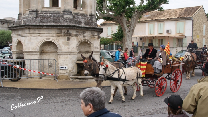 La féte du cheval a Bedarrides - Bédarrides