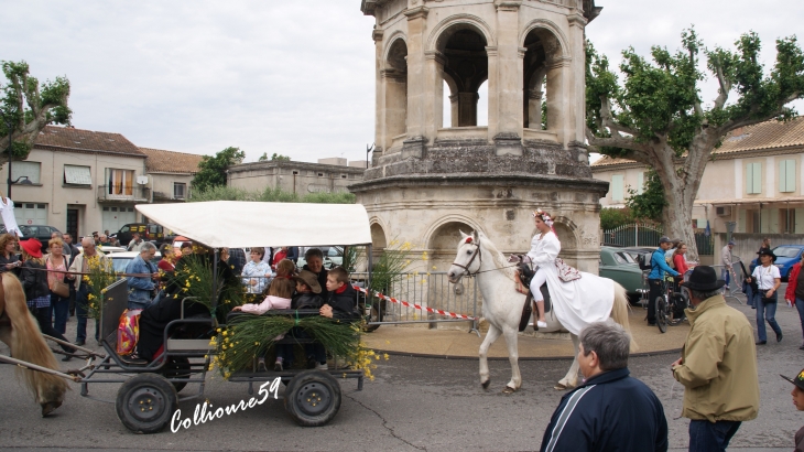 La féte du cheval a Bedarrides - Bédarrides