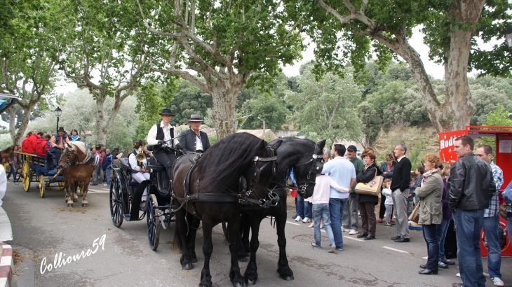 La féte du cheval a Bedarrides - Bédarrides