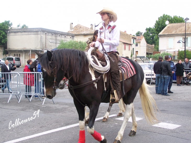 La féte du cheval a Bedarrides - Bédarrides