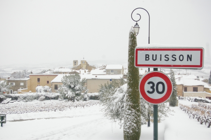 Entrée de buisson