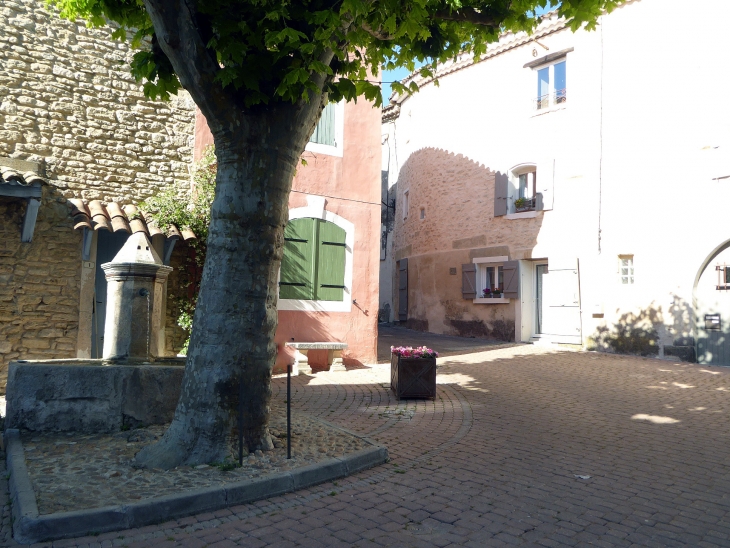 La place ombragée - Cabrières-d'Avignon