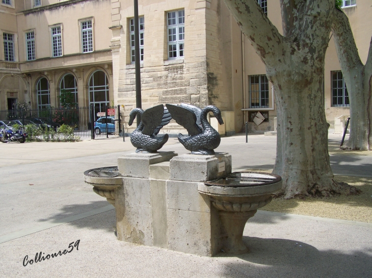  - Carpentras