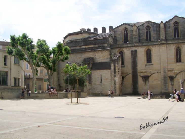  - Carpentras