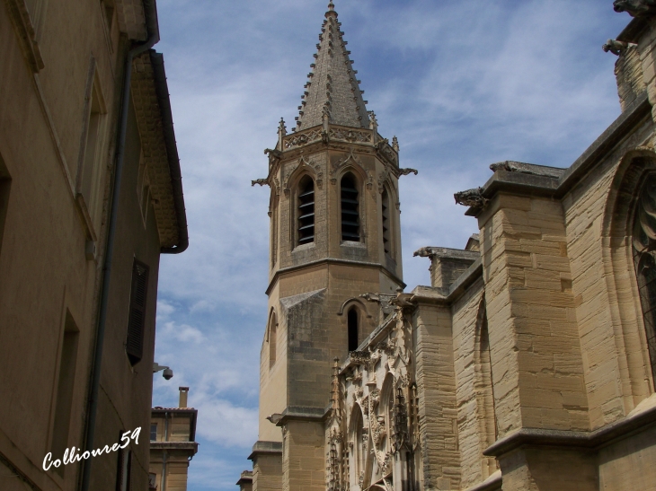  - Carpentras