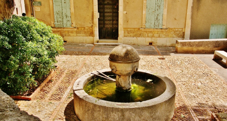 Fontaine - Châteauneuf-de-Gadagne