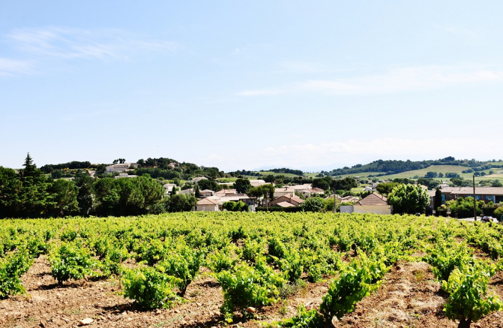 La Commune - Châteauneuf-du-Pape