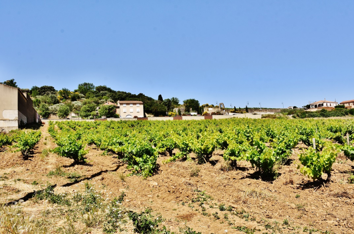 La Commune - Châteauneuf-du-Pape