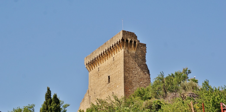 Le Château - Châteauneuf-du-Pape