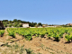 Photo suivante de Châteauneuf-du-Pape La Commune