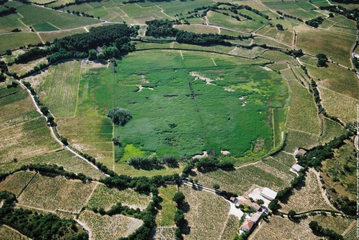 Lac salé de Courthézon