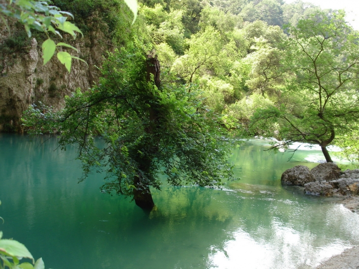 La Fontaine en crue - Fontaine-de-Vaucluse