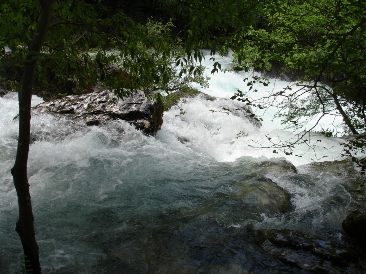 La Fontaine en crue - Fontaine-de-Vaucluse