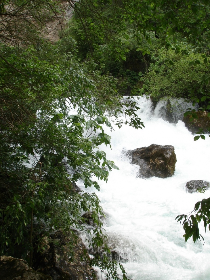 La Fontaine sort de sa réserve - Fontaine-de-Vaucluse