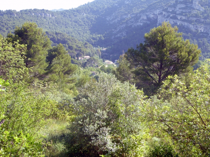 Sous les monts de Vaucluse - Fontaine-de-Vaucluse