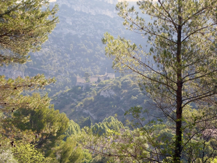 Vue sur le château - Fontaine-de-Vaucluse