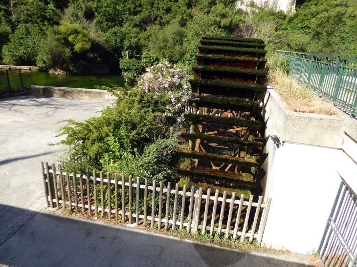 Au bord de la Sorgue - Fontaine-de-Vaucluse