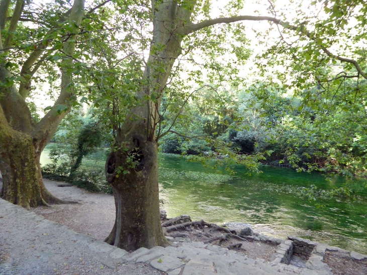 La Sorgue - Fontaine-de-Vaucluse