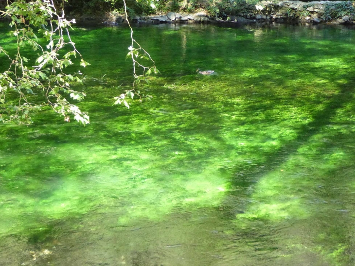 La Sorgue - Fontaine-de-Vaucluse