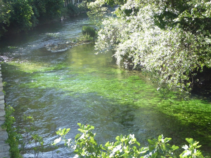 La Sorgue - Fontaine-de-Vaucluse