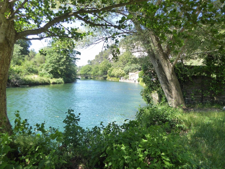 La Sorgue - Fontaine-de-Vaucluse