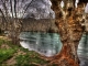 Au fil de l'eau 3 - Fontaine de Vaucluse