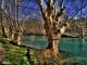 Photo suivante de Fontaine-de-Vaucluse Au fil de l'eau 2 - Fontaine de Vaucluse