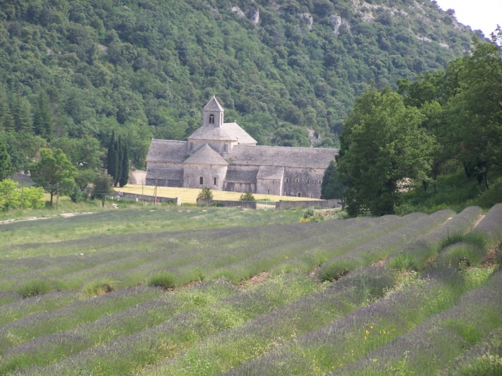 Abbaye Notre-Dame de SENANQUE - Gordes