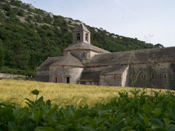 Abbaye Notre-Dame de SENANQUE - Gordes