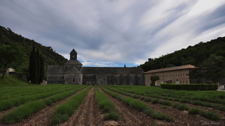 Abbaye Notre-Dame de Sénanque - Gordes