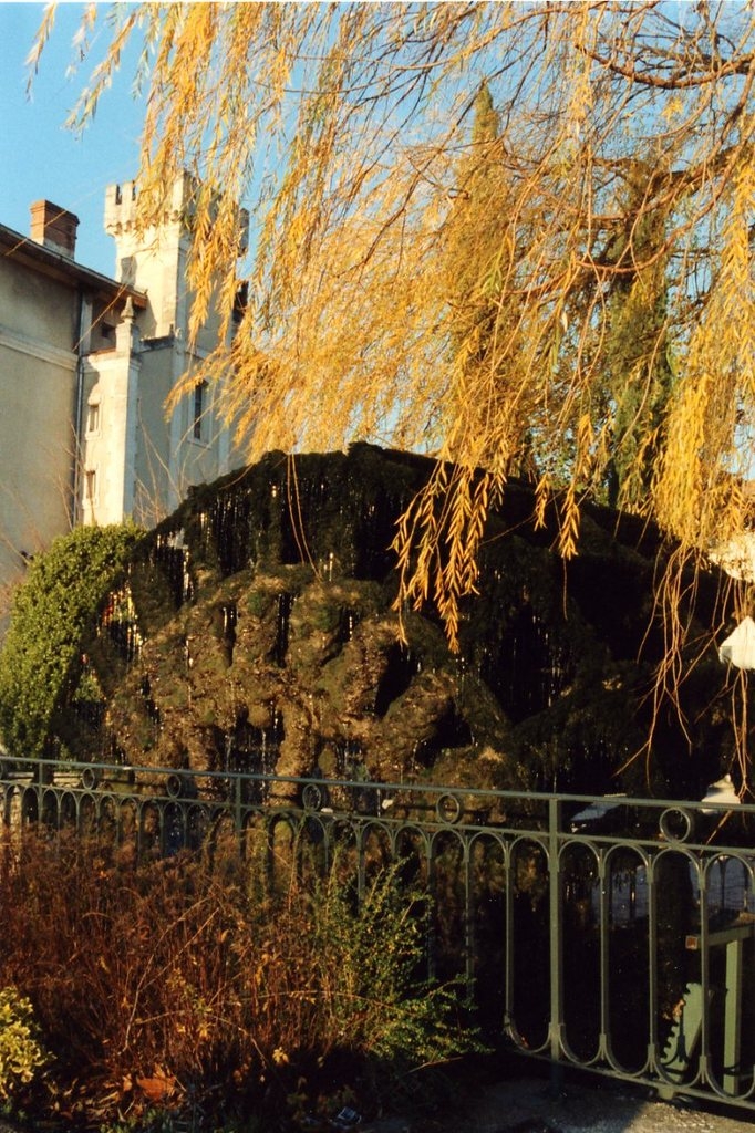 La roue de la caisse d'épargne - L'Isle-sur-la-Sorgue