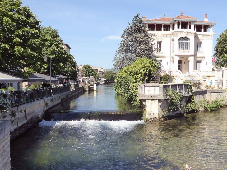 Au bord de la Sorgue - L'Isle-sur-la-Sorgue