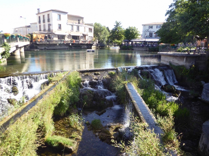 Au bord de la Sorgue - L'Isle-sur-la-Sorgue