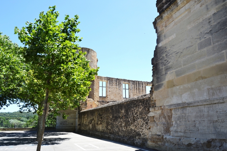   Château De La Tour-D'Aigues 11 Em Siècle 