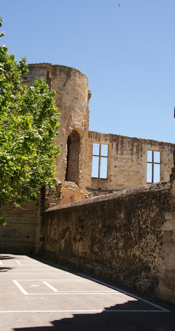   Château De La Tour-D'Aigues 11 Em Siècle 