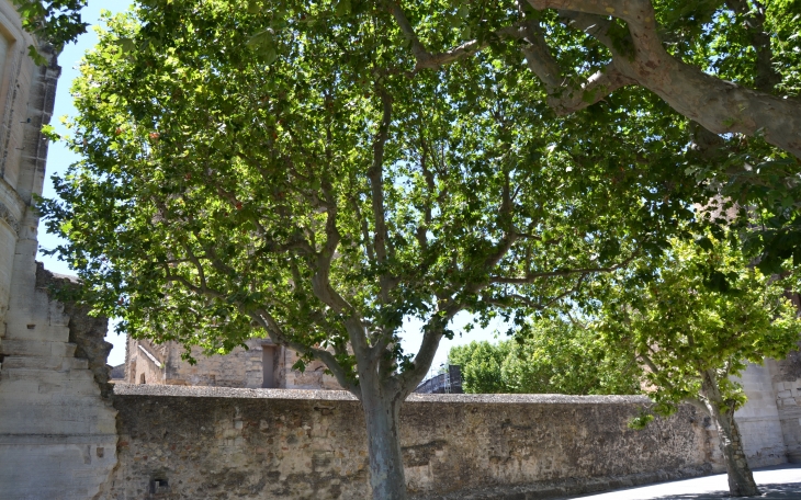   Château De La Tour-D'Aigues 11 Em Siècle 