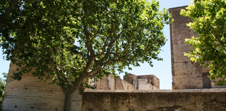   Château De La Tour-D'Aigues 11 Em Siècle 