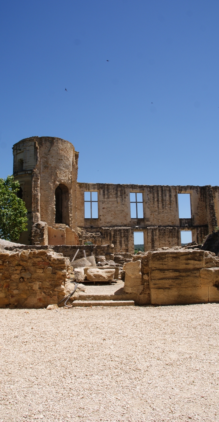   Château De La Tour-D'Aigues 11 Em Siècle 