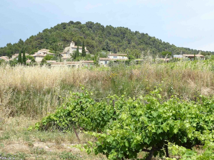 Le village et les vignes - Lafare