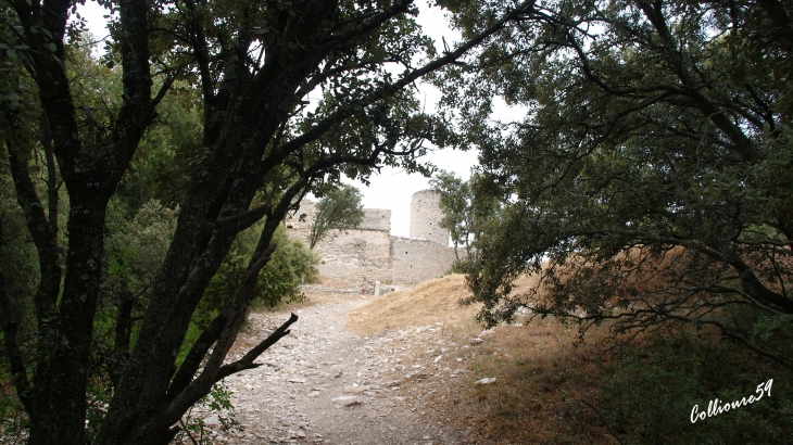 Monastére fortifié de Thouzon commune de Le Thor