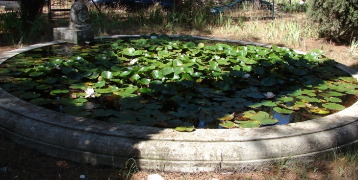 Bassin et nénuphars à l'entrée du Château - Lourmarin