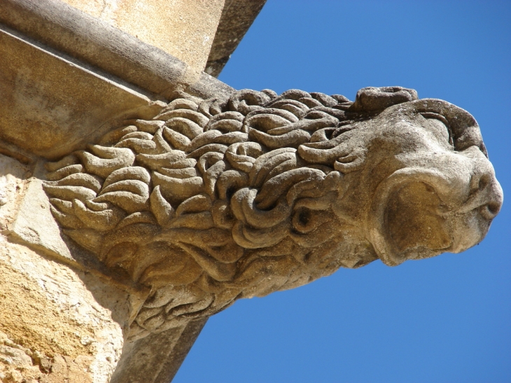 Gargouille du Château - Lourmarin