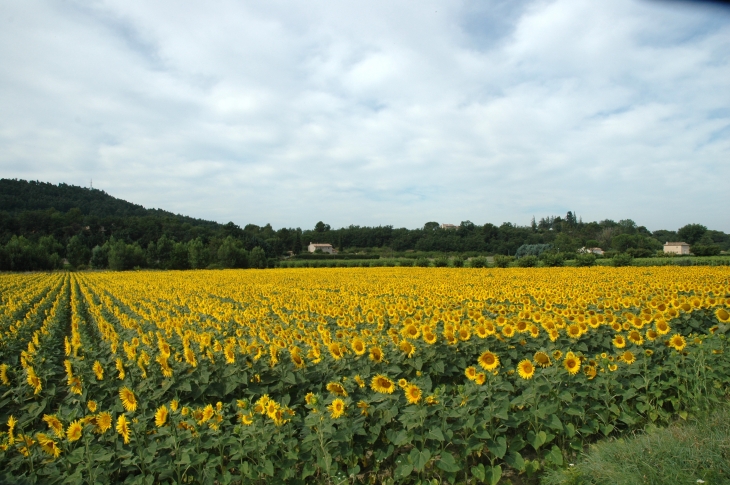  - Lourmarin